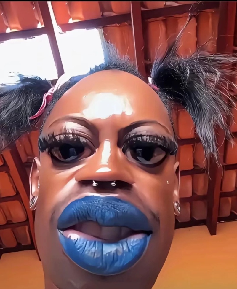 hình ảnh xấu xí hài hước 8