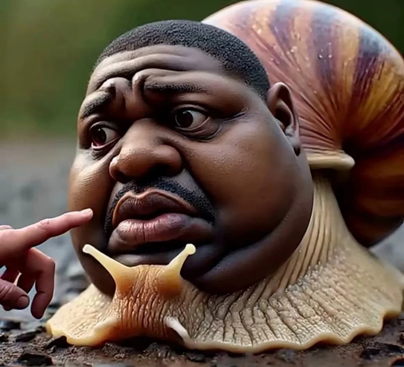 hình ảnh xấu xí hài hước 9