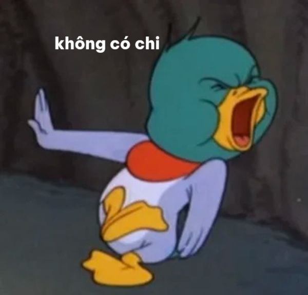 không có chi meme 4