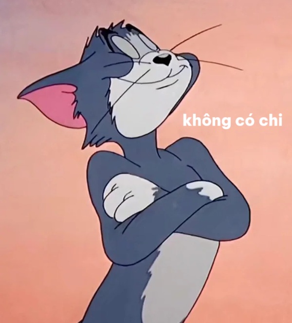 không có chi meme 5