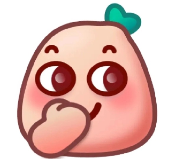 meme bịt miệng 2