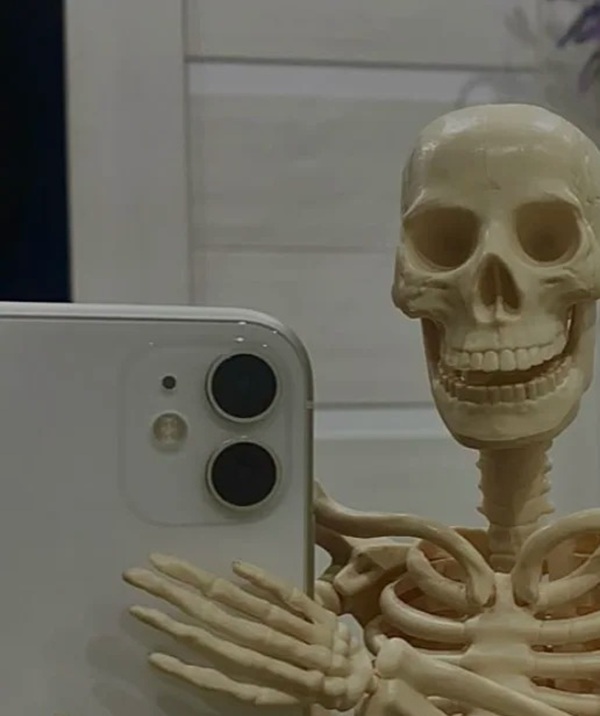 meme bộ xương 25