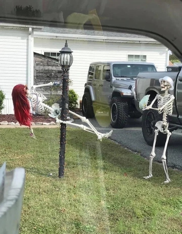 meme bộ xương 29