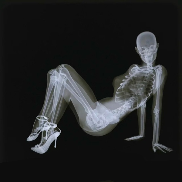 meme bộ xương 39