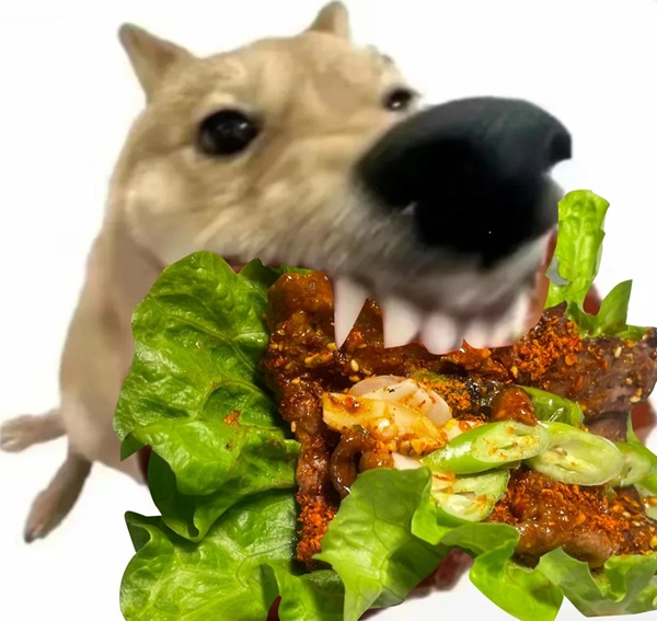 meme chó cắn thịt