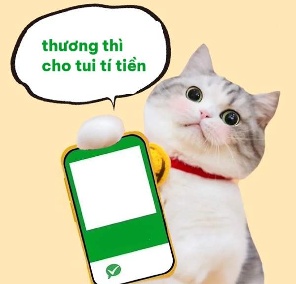 meme chuyển khoản 6