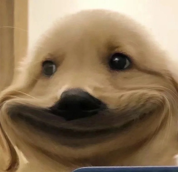 meme cười gượng 31