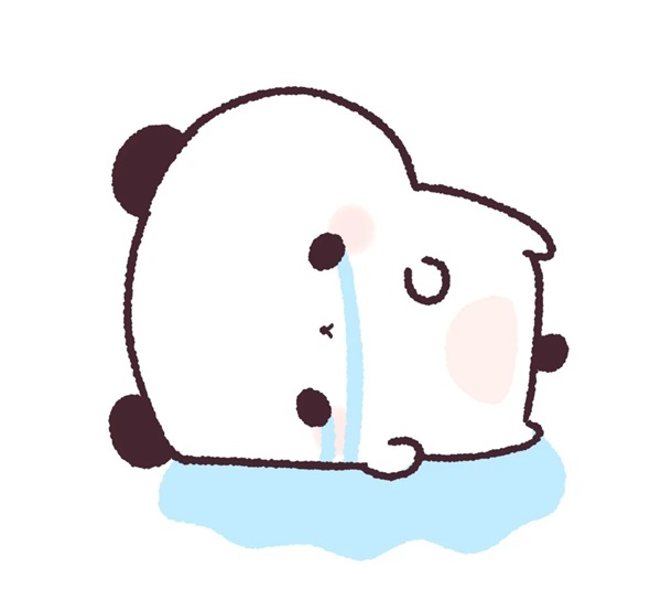 meme gấu trúc khóc 1