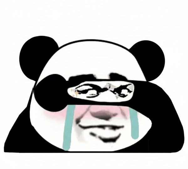 meme gấu trúc khóc 12