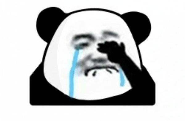 meme gấu trúc khóc 13