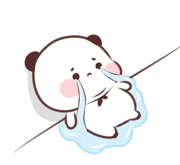 meme gấu trúc khóc 25