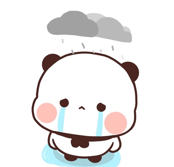 meme gấu trúc khóc 28