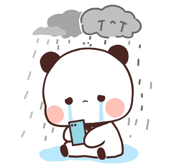 meme gấu trúc khóc 32