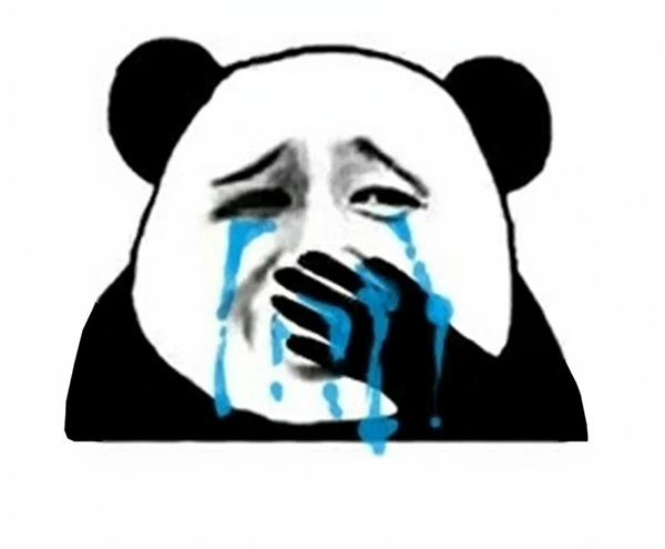 meme gấu trúc khóc 4