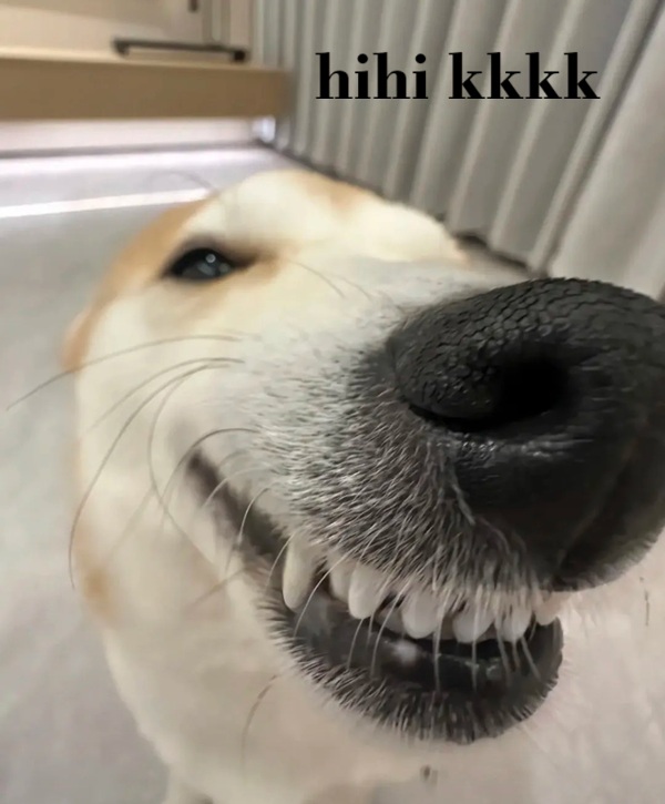 meme hihi 9
