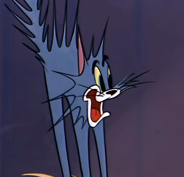 meme hoảng sợ 15