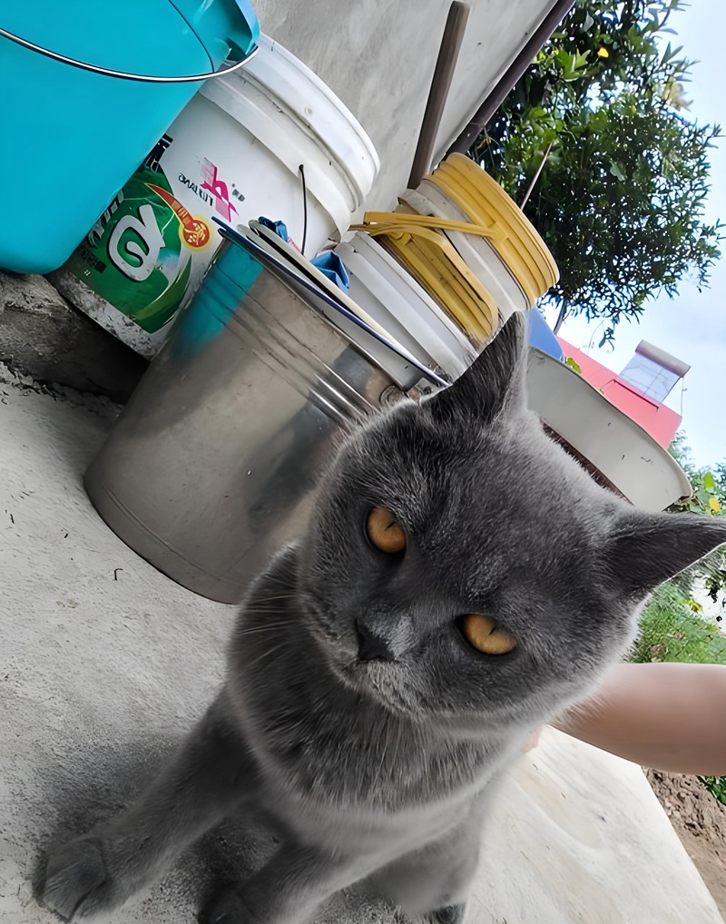 meme nghiêm túc 10