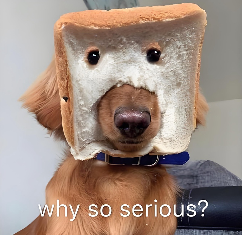 meme nghiêm túc 18