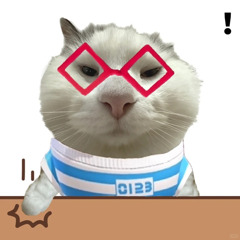 meme nghiêm túc 38