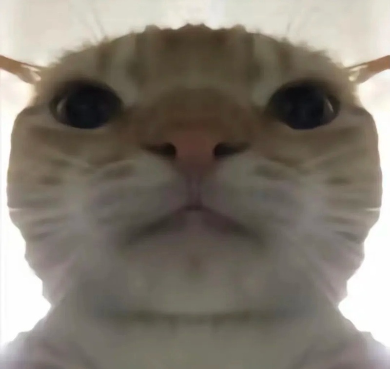 meme nghiêm túc 39