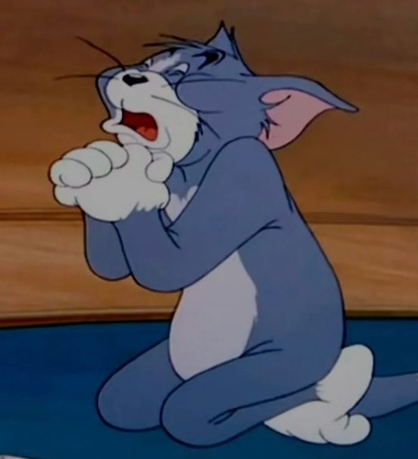 meme quỳ lạy xin lỗi