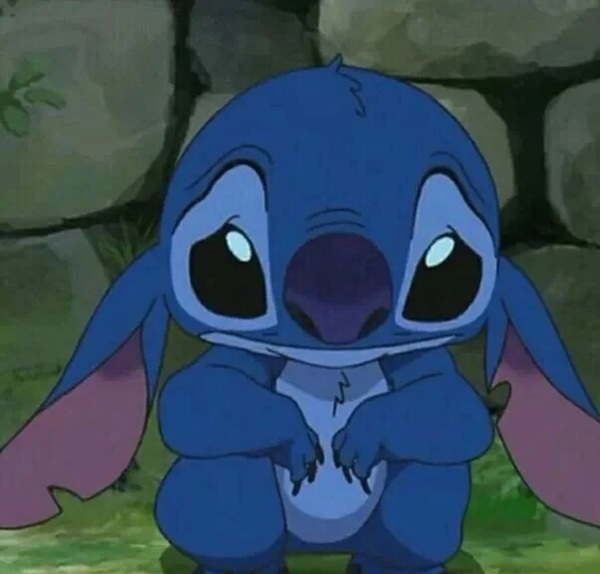 meme thất vọng 11