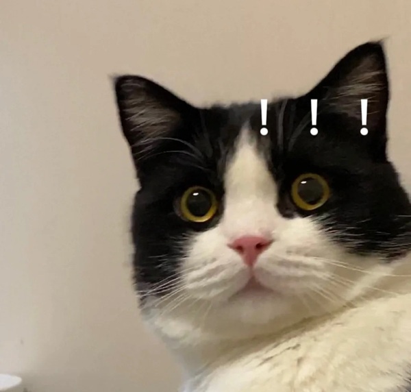 meme trợn mắt 20