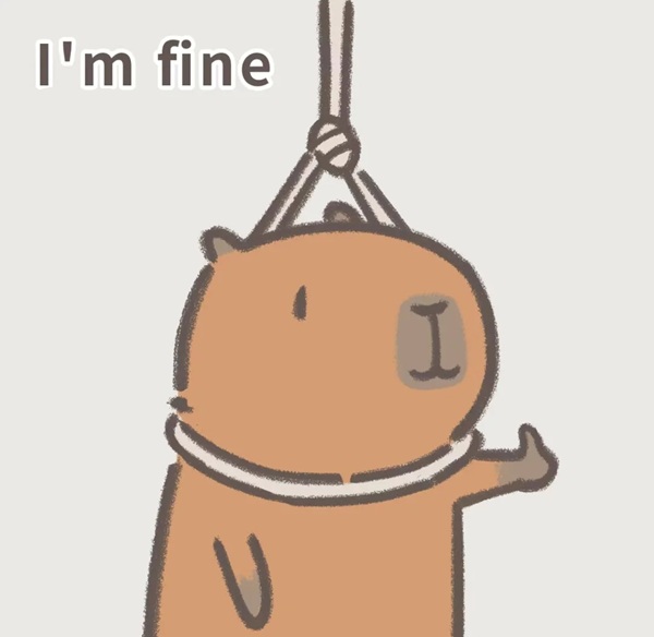 meme tuyệt vọng 24