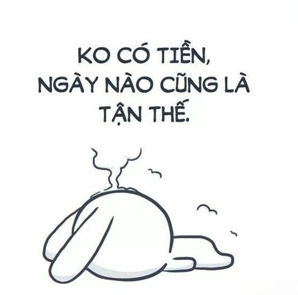 meme xin tiền 16