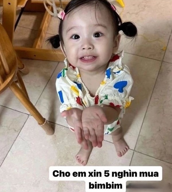 meme xin tiền 18