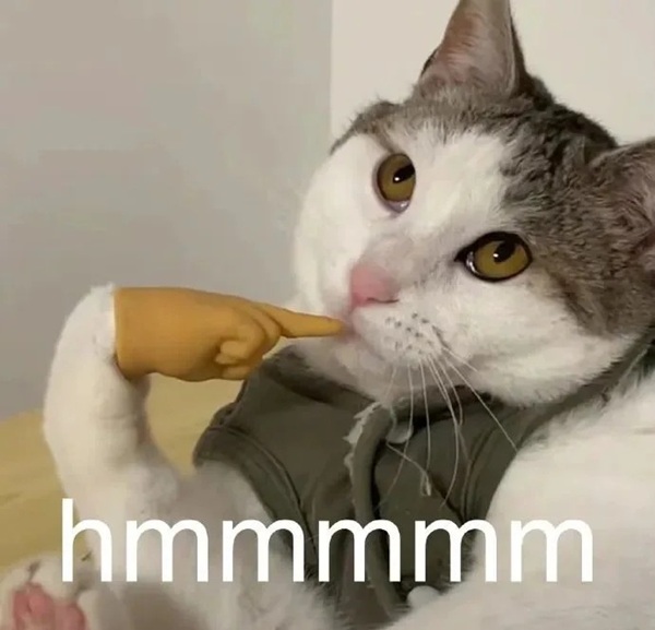 mèo nghi ngờ meme