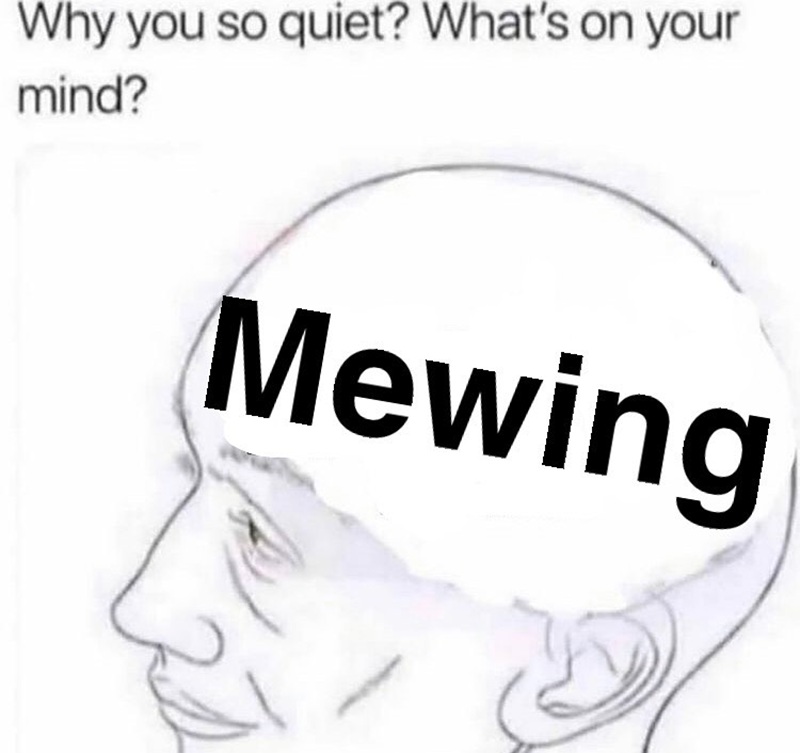 mewing meme 28