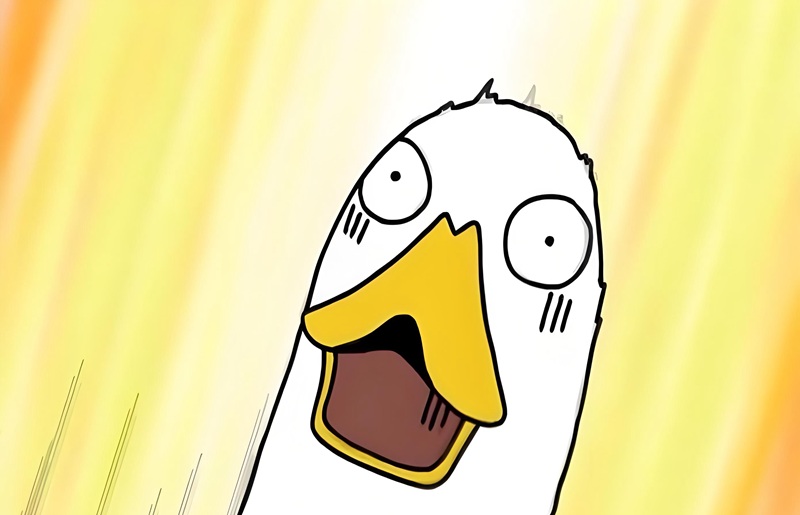 ngạc nhiên meme 11