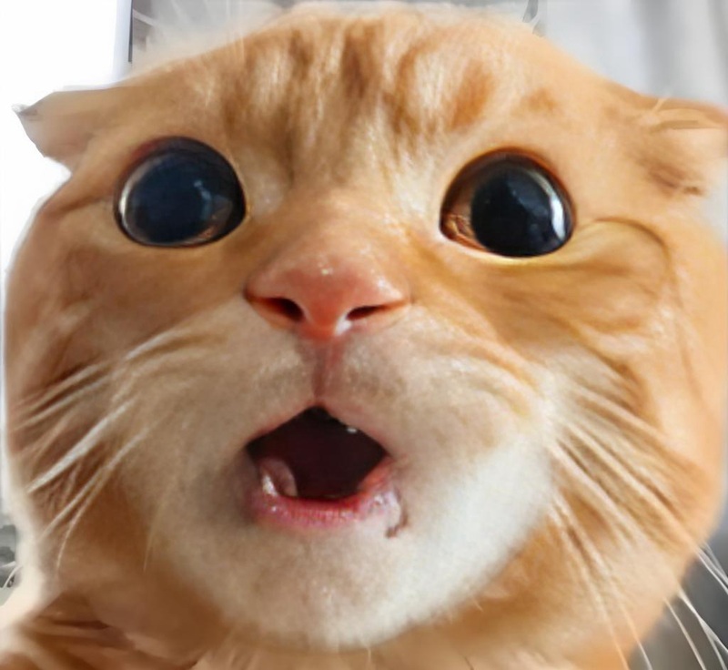 ngạc nhiên meme 16