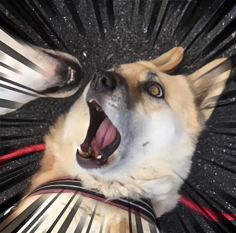 ngạc nhiên meme 17