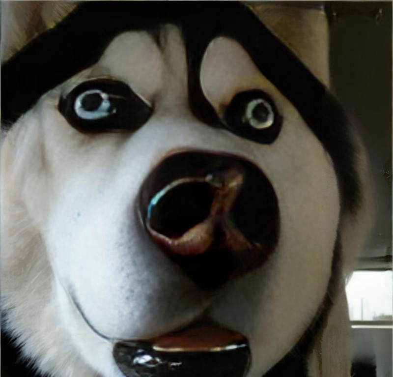 ngạc nhiên meme 6