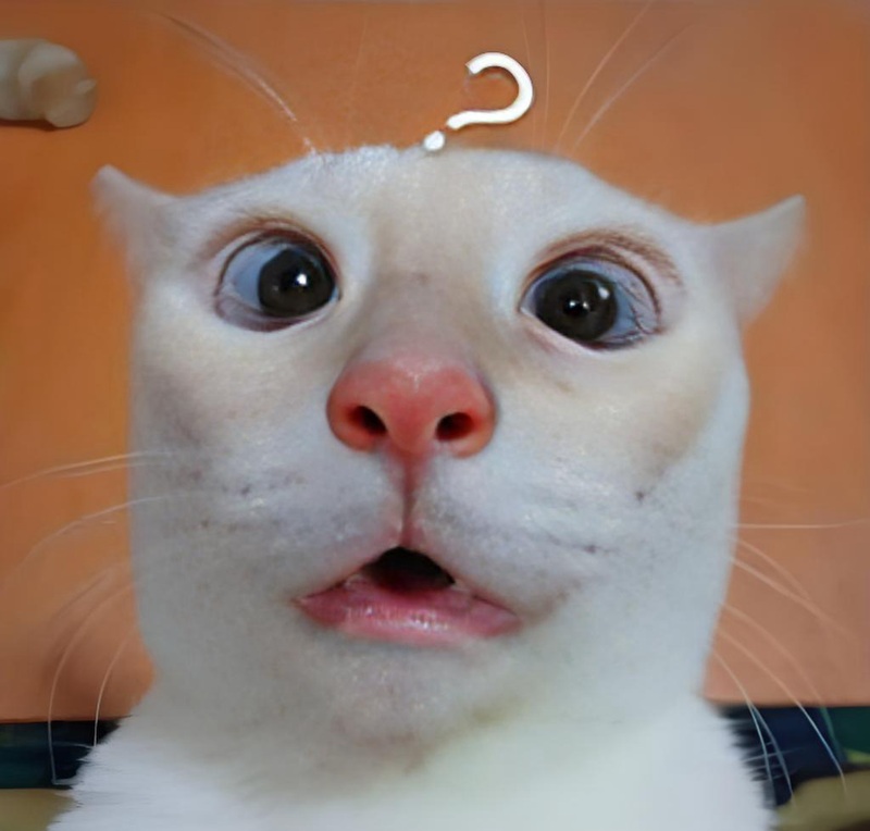 ngạc nhiên meme 7