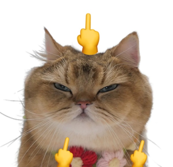 ngón giữa meme 12