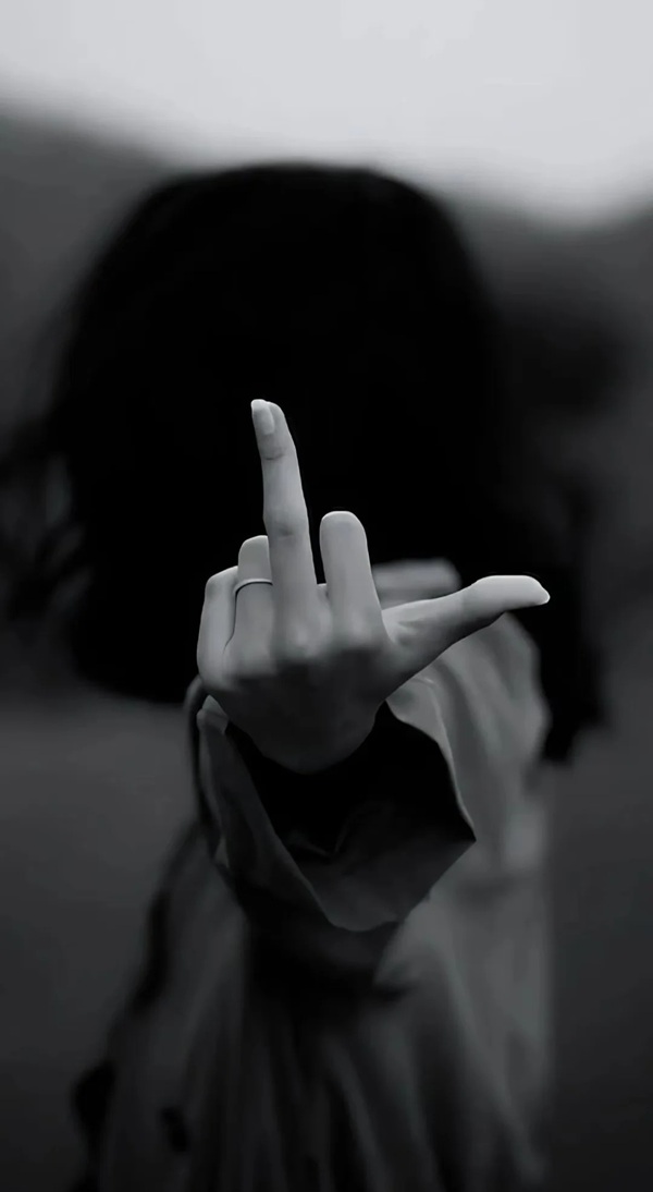 ngón giữa meme 20