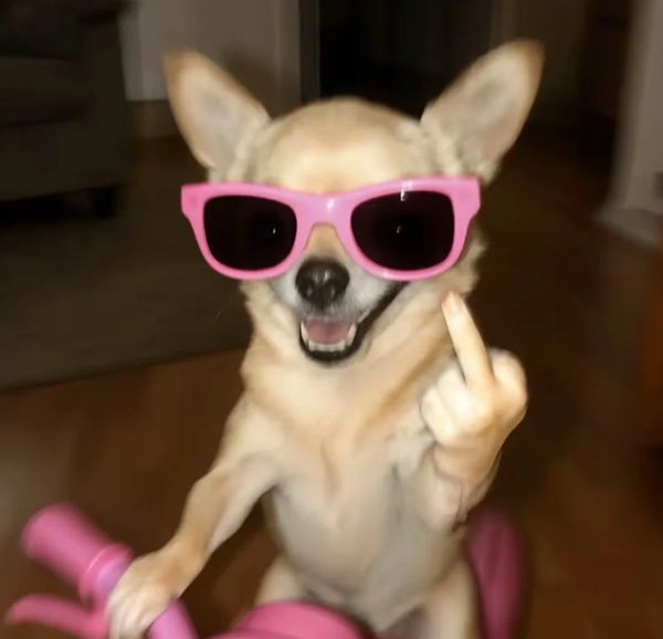 ngón giữa meme 23