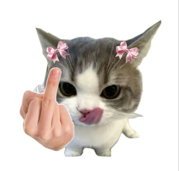 ngón giữa meme 27