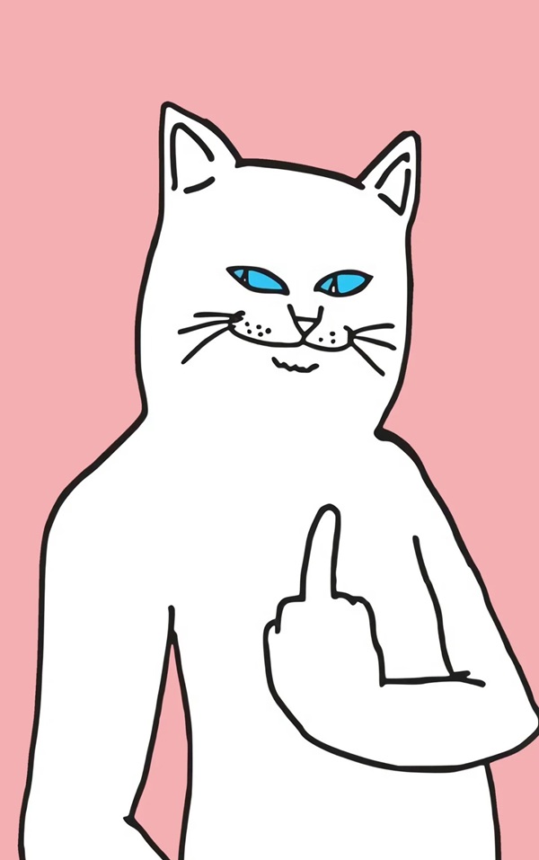 ngón giữa meme 29