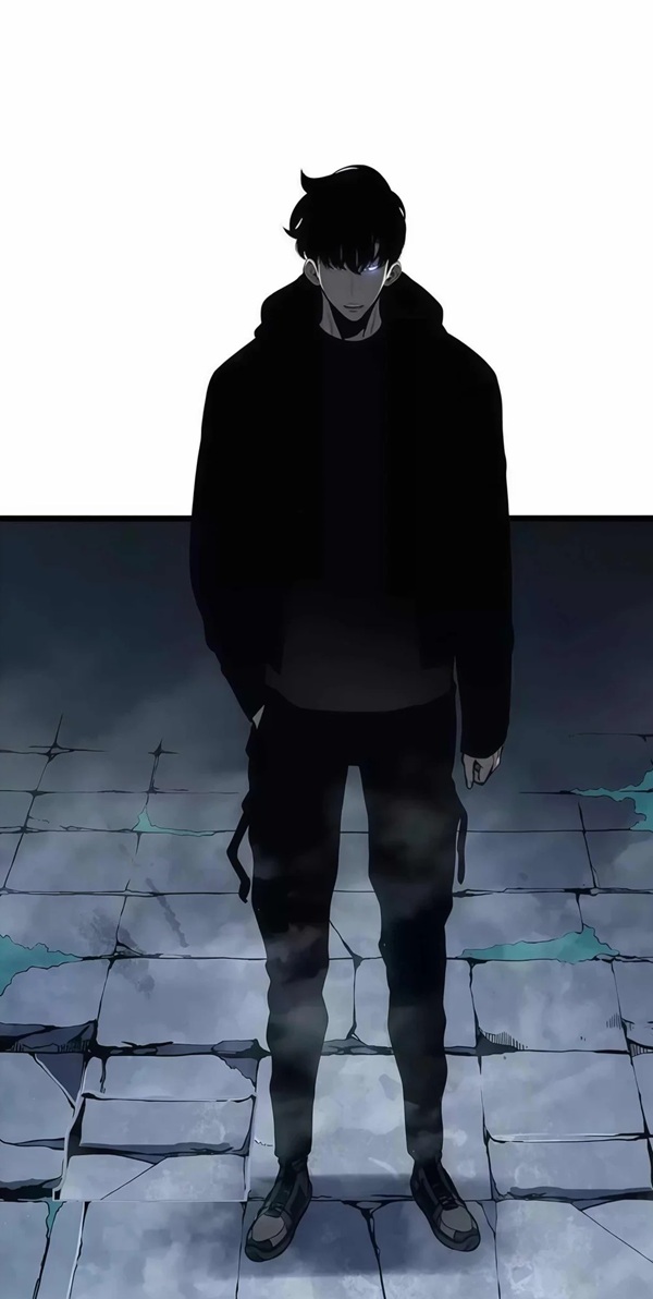 solo leveling meme 10