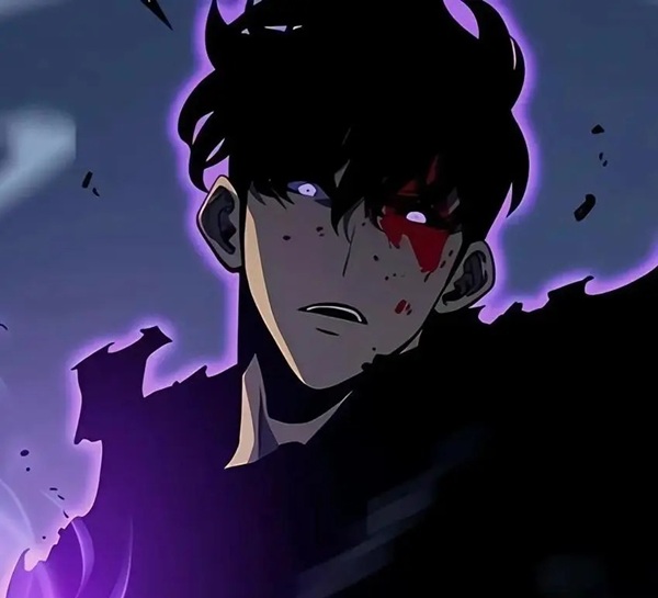 solo leveling meme 12