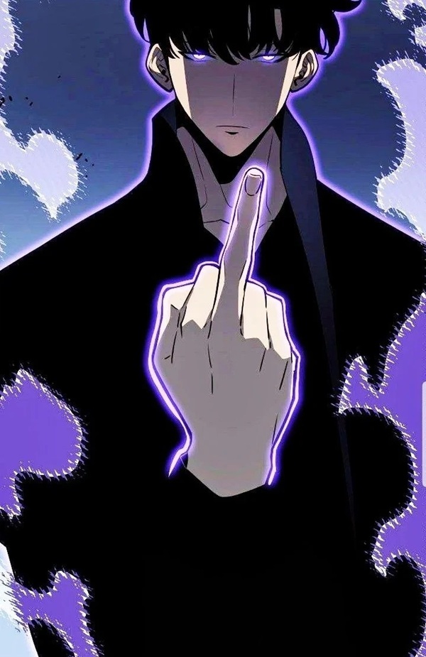 solo leveling meme 20