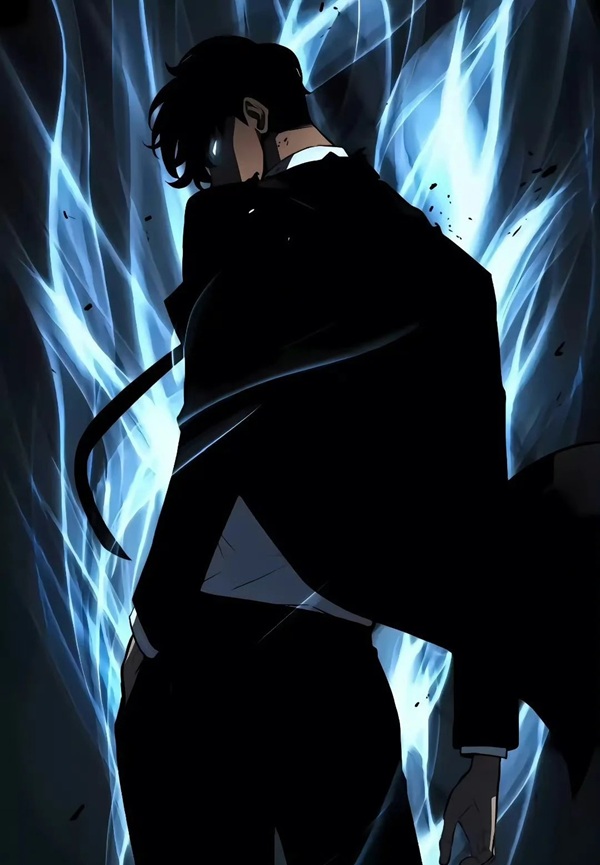 solo leveling meme 25