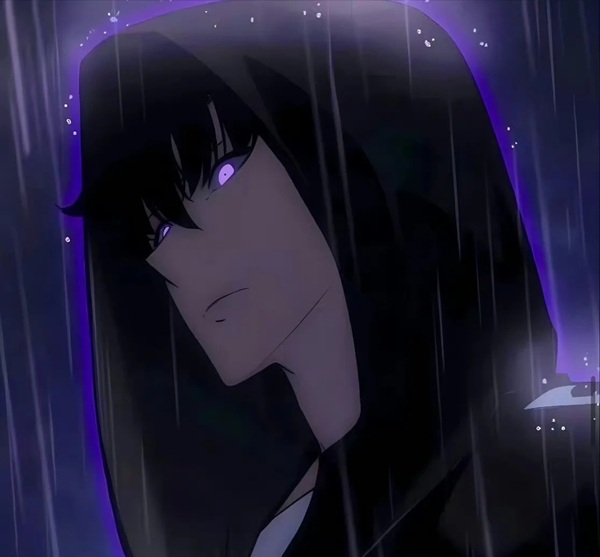 solo leveling meme 27