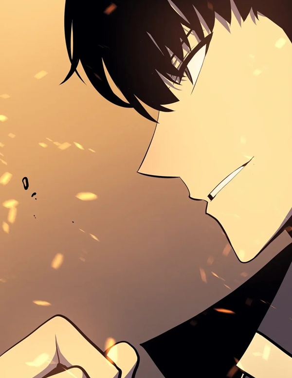 solo leveling meme 32