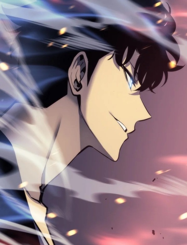 solo leveling meme 8