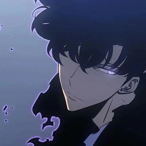 solo leveling meme 9